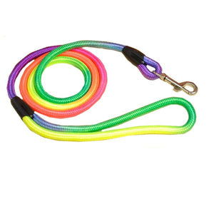 Rainbow Dog Leash