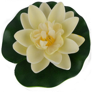 Floating Lotus Water Lily