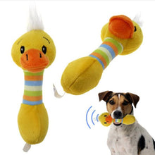 Dog Animal Squeaker Toys