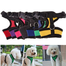 Dog Harness