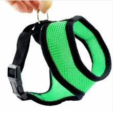 Dog Harness