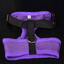 Dog Harness