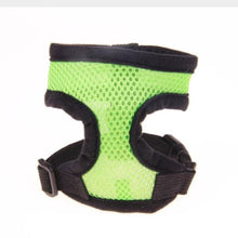 Dog Harness