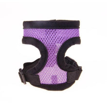 Dog Harness