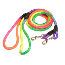 Rainbow Dog Leash