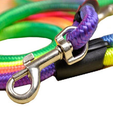 Rainbow Dog Leash