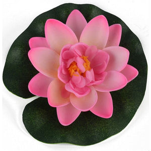 Floating Lotus Water Lily