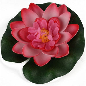 Floating Lotus Water Lily