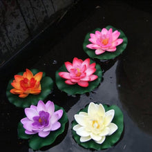 Floating Lotus Water Lily