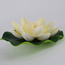 Floating Lotus Water Lily