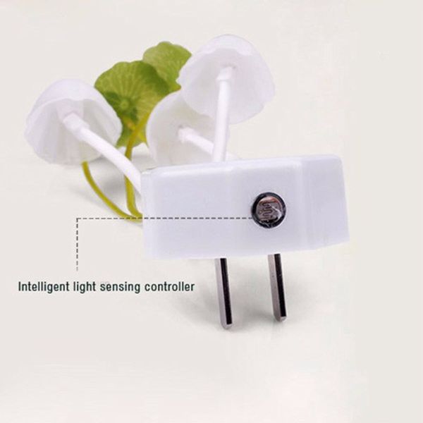 Fungus LED Night Light