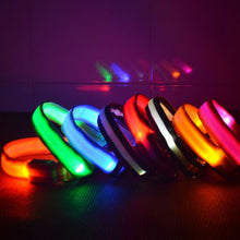 LED Dog Collars