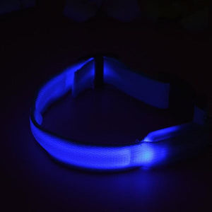 LED Dog Collars