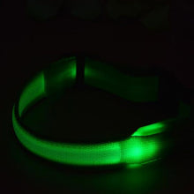 LED Dog Collars