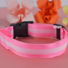 LED Dog Collars