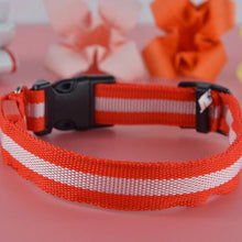 LED Dog Collars