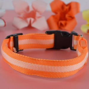 LED Dog Collars