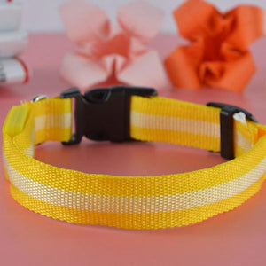 LED Dog Collars